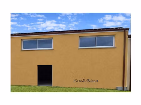 vente locaux professionnels 3 pièces 255 m² à saint-hilaire-de-chaléons (44680)  279 300 €