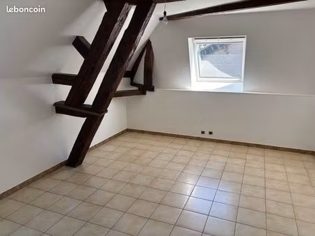 appartement plein centre