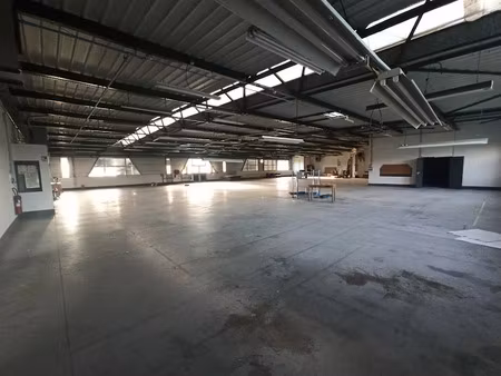 vente locaux professionnels 0 pièces 1306 m² à saint-junien (87200)  423 440 €