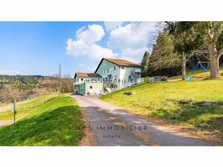 vente immeuble 930 m² à combrimont (88490)  650 000 €