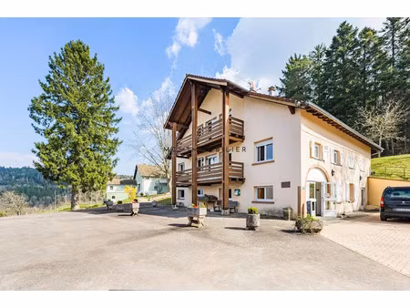 vente immeuble 930 m² à combrimont (88490)  750 000 €