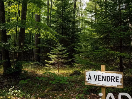 terrain à arsac (33460)