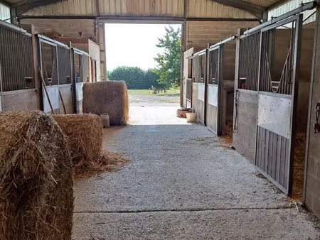 haras à chenoise (77160)