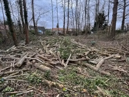 terrain à bâtir à larchant (77760)
