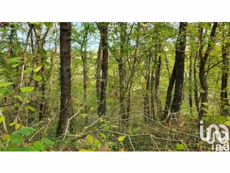 terrain loisirs à moret-loing-et-orvanne (77250)
