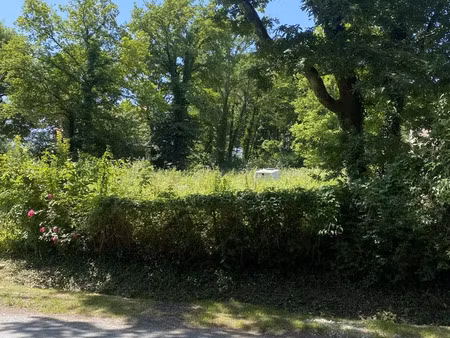 terrain à tigeaux (77163)