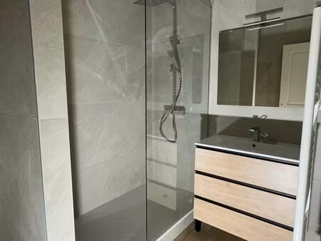 appartement rénové centre ville luxeuil