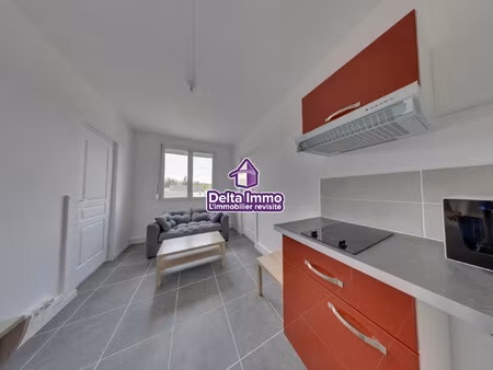 appartement de type 2/3 entièrement refait à neuf