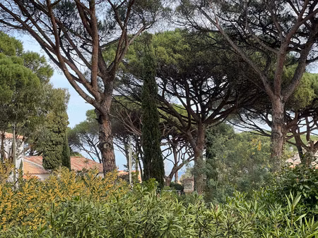 vente terrain à construire 1900 m² sainte-maxime (83120)