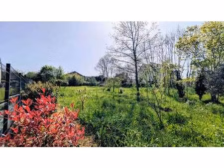 vente terrain à plomodiern (29550) : à vendre / 1370m² plomodiern