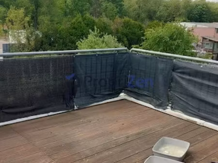 location appartement 3 pièces 65 m² à haguenau (67500)  873 €