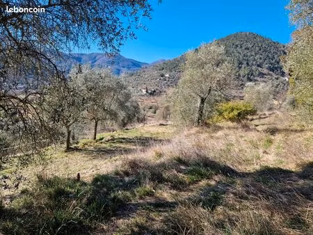 sospel vend oliveraie