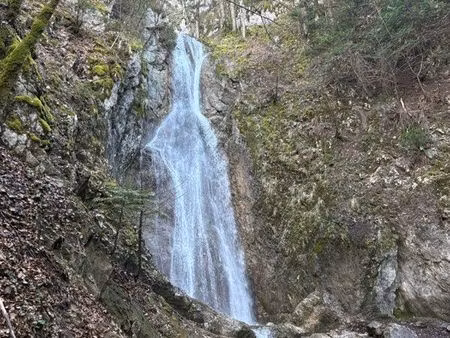 cherche maisons sur beley et alentours