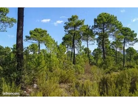 terrain 2731 m² nans-les-pins