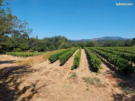 terrain 620 m² cogolin