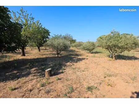 terrain 2 860 m² regusse