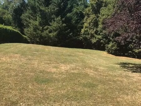 terrain constructible