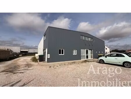 à vendre hangar professionnel