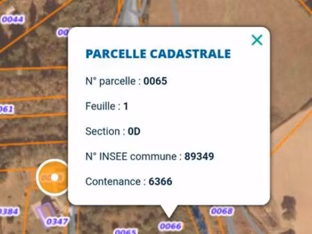 terrain de loisirs 6386 m² avec puits et cave - 89630