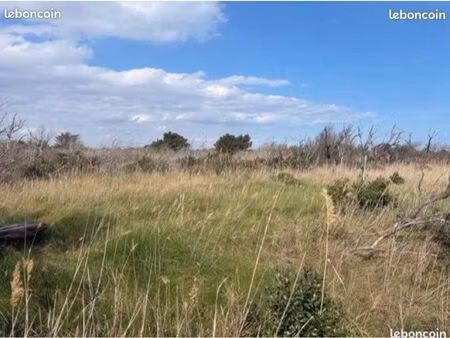 terrain de loisirs port la nouvelle