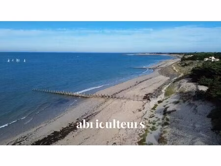 grande villa de 200m² en front de mer - très belle parcelle aux multiples possibilités -..