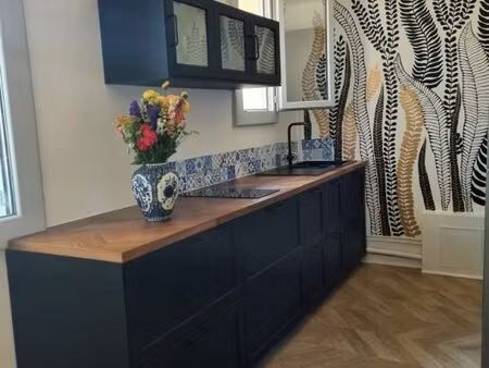 appartement 2 pièces 39m² rochetaillée sur saone