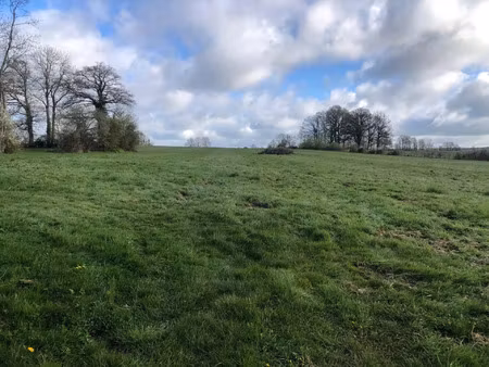 vente terrain 33202 m² longny les villages (61290)