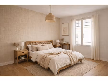 maison de village + local commercial