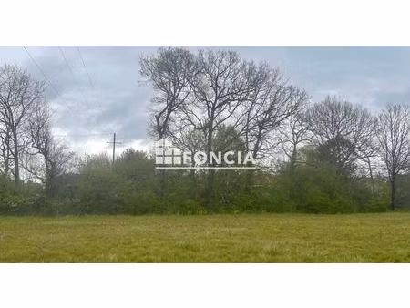 buzet sur tarn - terrain d'exception divisible - environ 3000 m2