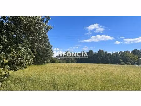 buzet sur tarn - terrain d'exception divisible - environ 3000 m2
