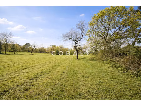 terrain constructible - environnement calme