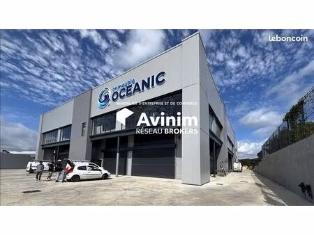 local 205 m² baie-mahault