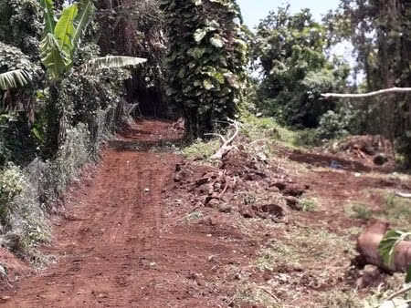 terrain de 1000 m2 à louer à trois rivières