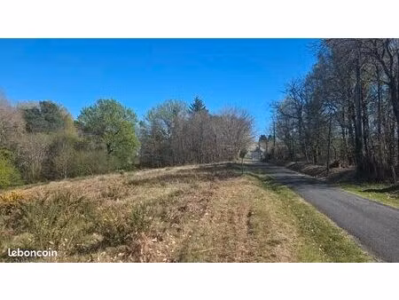 terrain 3 006 m² estivaux