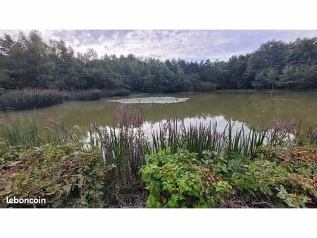 terrain loisirs avec etangs