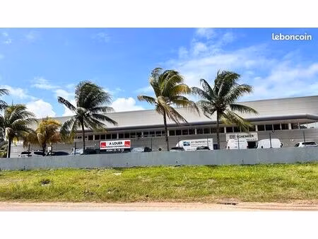 bureaux 340 m² cayenne