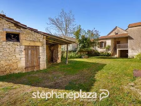 stephane plaza immobilier macon