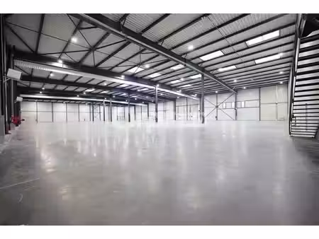 location entrepôt saint-laurent-de-mure 69720 4564m²