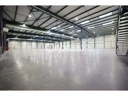 location local d’activités saint laurent de mure 69720 4564m²