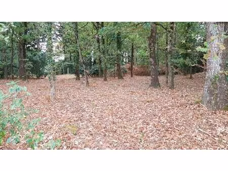 vente terrain à notre-dame-de-riez (85270) : à vendre / 591m² notre-dame-de-riez