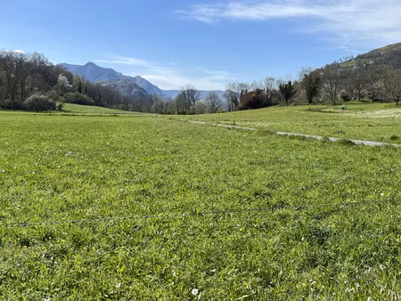 achat terrain 13 270m² cheust 65100