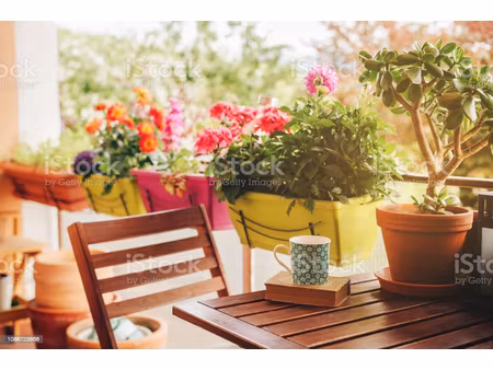 appartement t3 traversant avec terrasse proche pont simone veil