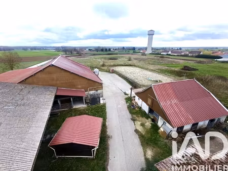 vente immeuble 28 976 m²