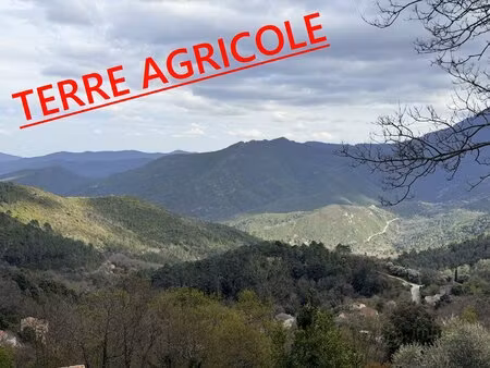 terrain agricole