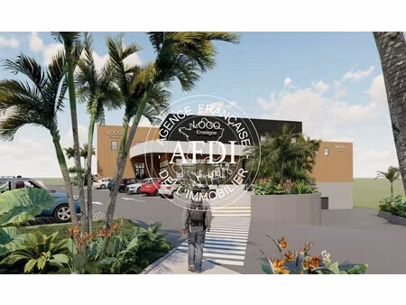 immeuble neuf de commerces  bureaux et entrepôts à acajou