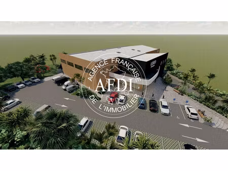 immeuble neuf de commerces  bureaux et entrepôts à acajou