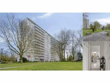 appartement à vendre à breughelpark 1 relegem (rbv66224)