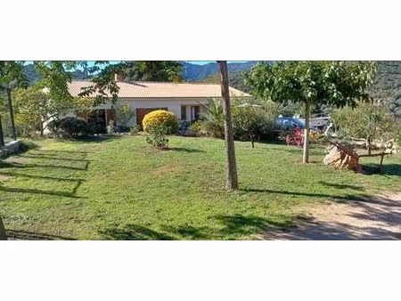 villa de luxe en vente serra-di-ferro  corse