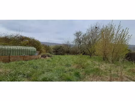 terrain à vendre balaives et butz