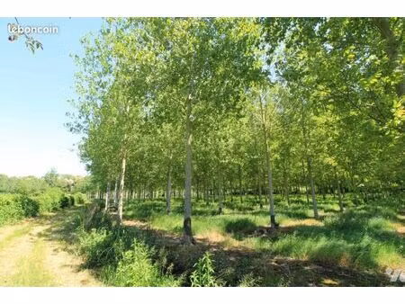 terrain 10000 m² chire en montreuil